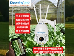 4G無線智能全彩小球 086 （點(diǎn)擊進(jìn)入大圖）