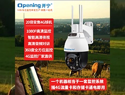 4G無線智能全彩高清監(jiān)控球機153-牧場監(jiān)控