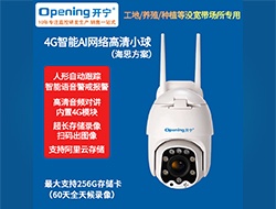 4G智能AI網(wǎng)絡高清小球