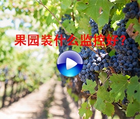 果園裝什么監(jiān)控好？