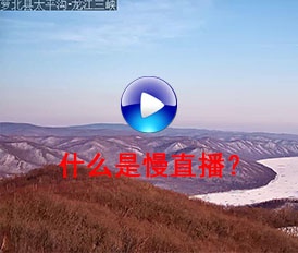 什么是慢直播？