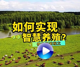智慧養(yǎng)殖慢直播系統(tǒng)搭建