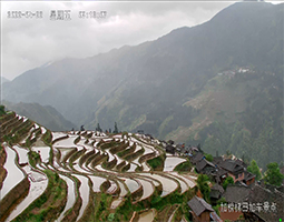 貴州從江融媒體成功使用開寧慢直播設備案例