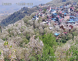 開寧慢直播設備直播云南錫都個舊梨花谷美景