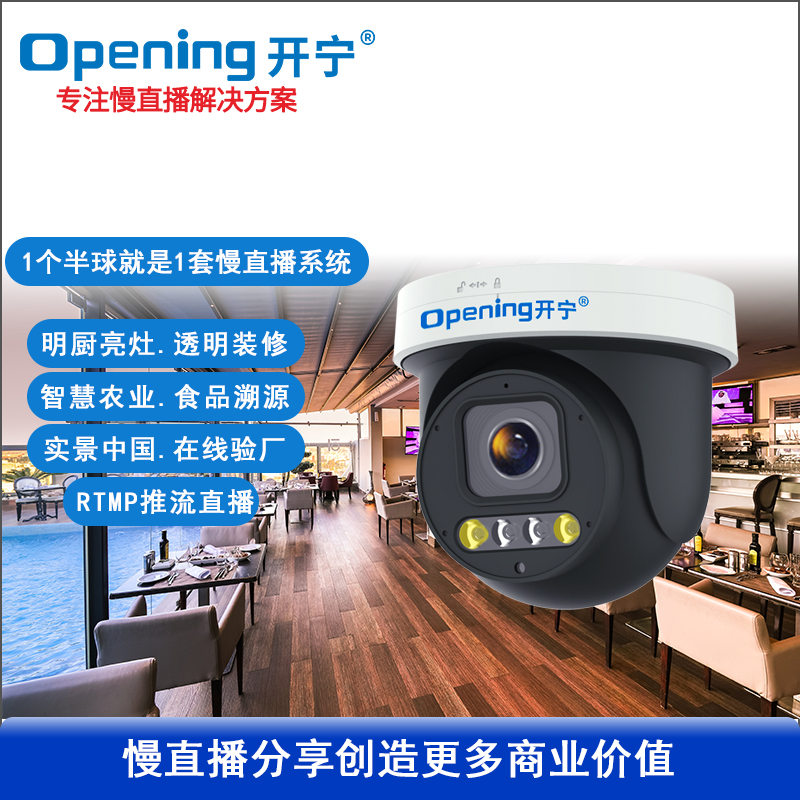 4K800萬(wàn)6倍變焦慢直播云臺(tái)半球