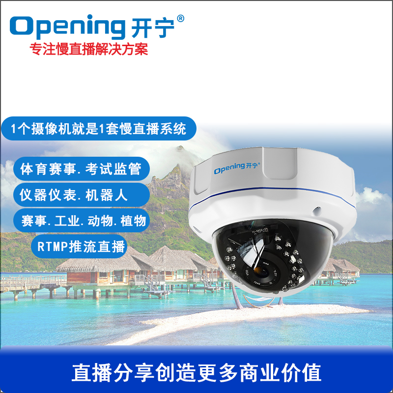 無畸變高清慢直播防暴半球攝像機